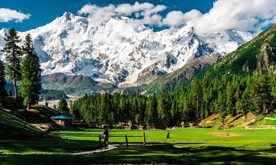 trekking-in-the-picturesque-fairy-meadows